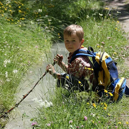 Family Desiree Hotel 3*